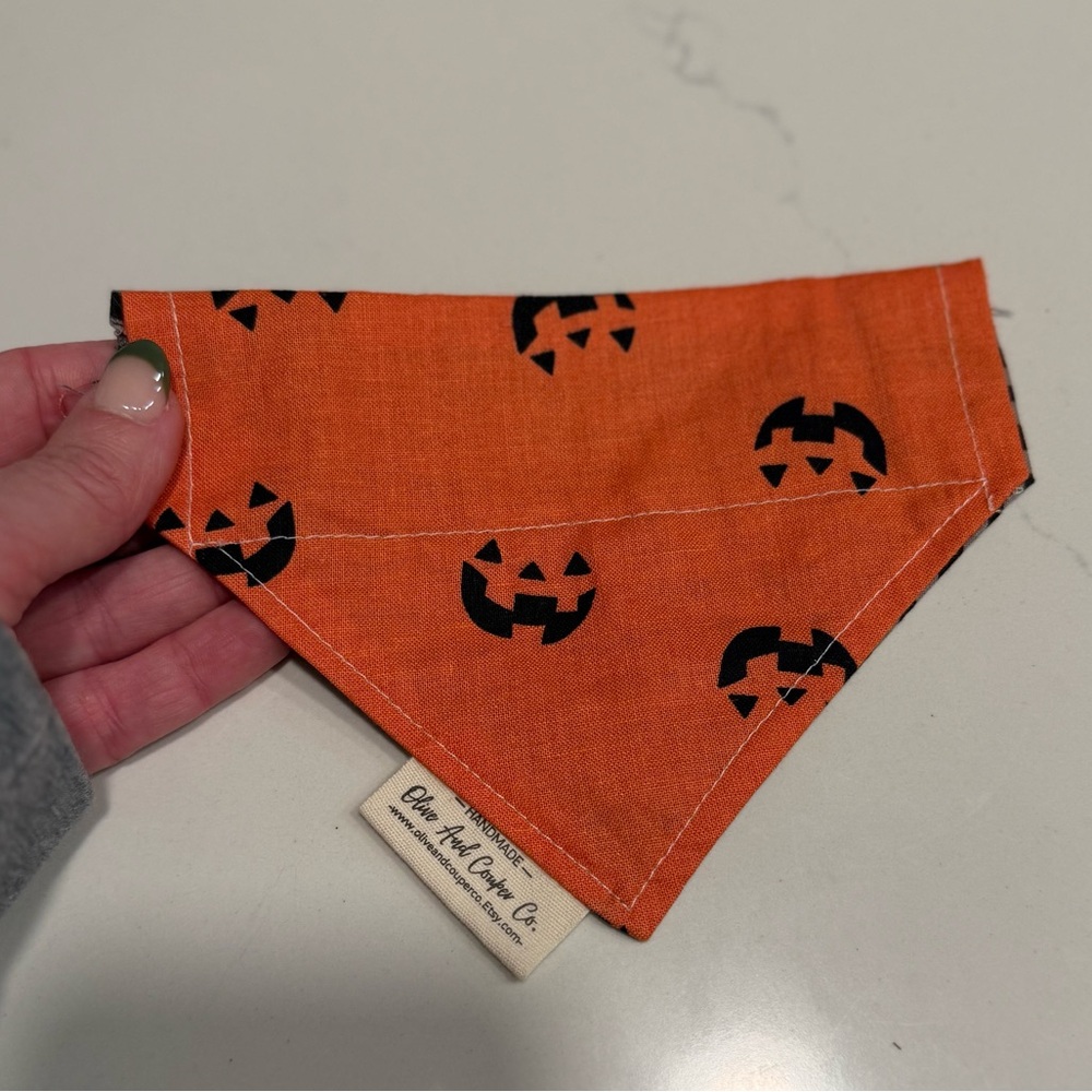 Oliveandcouperco_  Pumpkin Print Bandana-Small